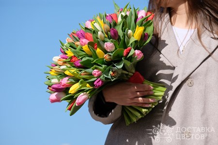 Букет из 101 тюльпана "Разноцветные тюльпаны"
